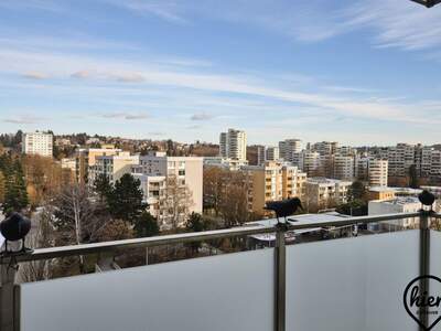 Wohnung mieten in 8010 Graz (Bild 1)