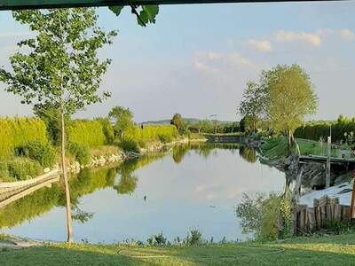 Gewerbeobjekt kaufen in 7064 Oslip (Bild 1)