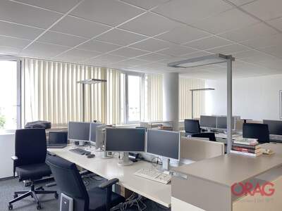 Gewerbeobjekt mieten in 4040 Linz (Bild 4)