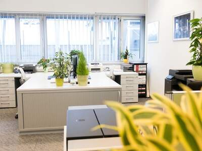 Gewerbeobjekt mieten in 8041 Graz (Bild 1)