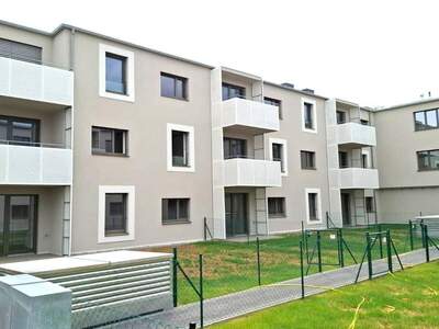 Wohnung mieten in 2020 Hollabrunn