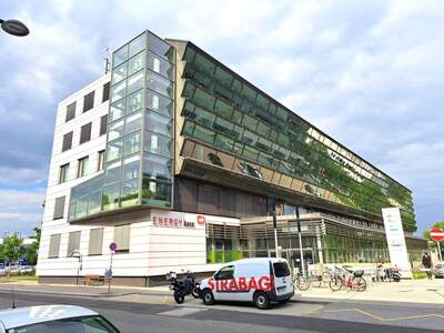 Gewerbeobjekt mieten in 1210 Wien (Bild 1)