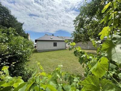 Haus kaufen in 7091 Breitenbrunn