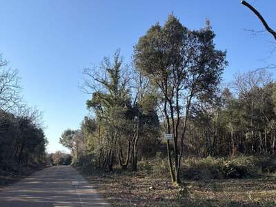 Gewerbeobjekt kaufen in 52208 Kavran (Bild 3)