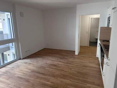 Terrassenwohnung mieten in 1210 Wien (Bild 3)