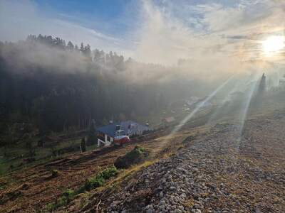 Grundstück kaufen in 4204 Reichenau (Bild 3)