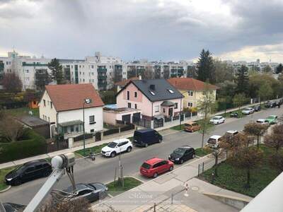 Terrassenwohnung mieten in 1210 Wien (Bild 1)
