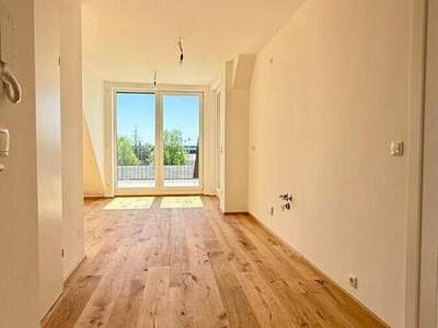 Terrassenwohnung kaufen in 1220 Wien (Bild 4)