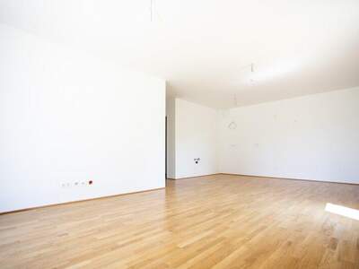 Terrassenwohnung kaufen in 2700 Wr. Neustadt (Bild 4)