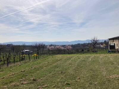 Grundstück kaufen in 3500 Gneixendorf (Bild 2)