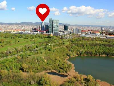 Wohnung kaufen in 1100 Wien (Bild 1)