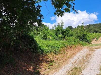 Grundstück kaufen in 2103 Langenzersdorf