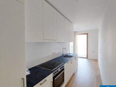 Terrassenwohnung mieten in 1100 Wien (Bild 5)