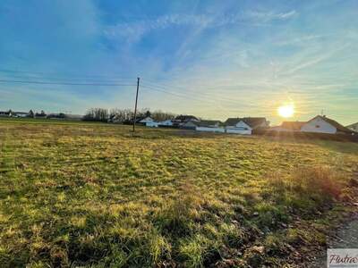 Grundstück kaufen in 4614 Marchtrenk (Bild 4)