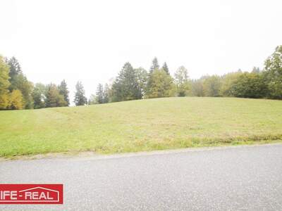 Grundstück kaufen in 4150 Berg