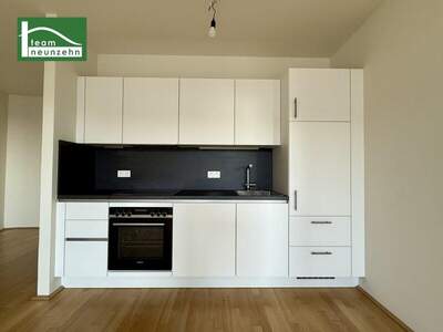 Terrassenwohnung mieten in 1100 Wien (Bild 2)