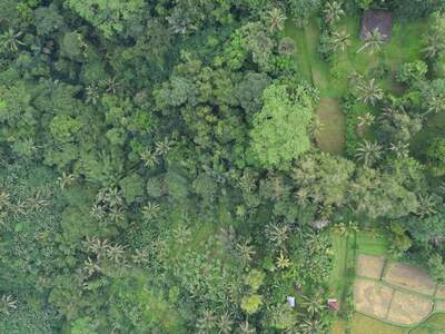 Grundstück kaufen in 80572 Puhu (Bild 5)