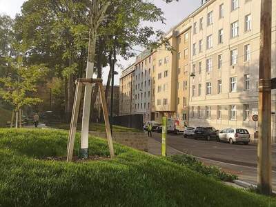 Mietwohnung provisionsfrei in 1120 Wien