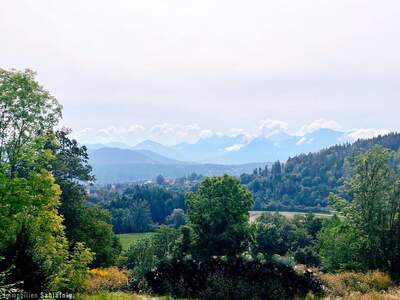 Grundstück kaufen in 9220 Duel