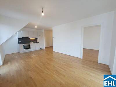 Terrassenwohnung mieten in 1230 Wien (Bild 2)