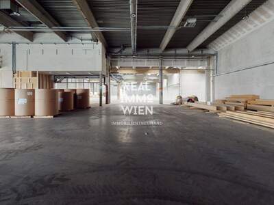 Gewerbeobjekt mieten in 2514 Traiskirchen (Bild 5)