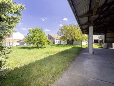 Gewerbeobjekt kaufen in 2431 Enzersdorf (Bild 4)