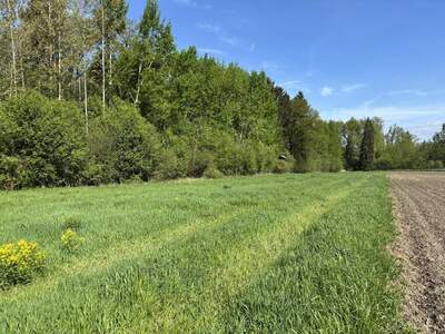 Grundstück kaufen in 4343 Mitterkirchen