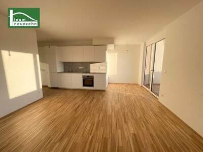 Terrassenwohnung mieten in 1230 Wien (Bild 2)