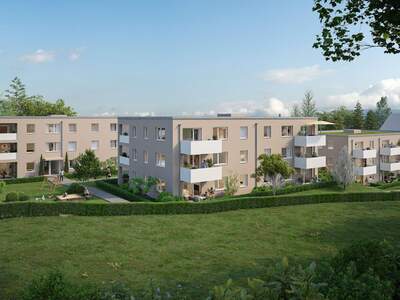 Wohnung mieten in 4564 Klaus