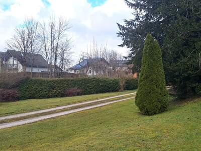 Haus kaufen in 4853 Steinbach (Bild 5)