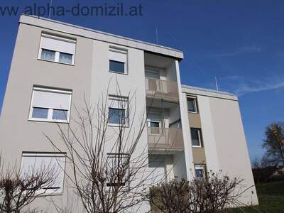 Wohnung kaufen in 2485 Wampersdorf