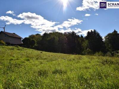 Grundstück kaufen in 8301 Laßnitzhöhe (Bild 2)