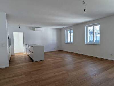 Altbauwohnung mieten in 1010 Wien (Bild 1)