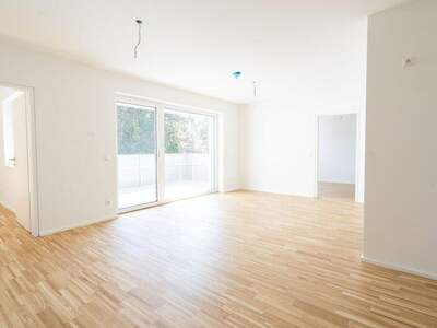 Wohnung kaufen in 4053 Nettingsdorf