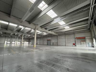 Gewerbeobjekt mieten in 4882 Oberwang (Bild 5)