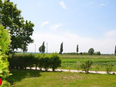 Terrassenwohnung mieten in 2463 Stixneusiedl (Bild 2)