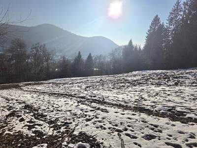 Grundstück kaufen in 3011 Purkersdorf