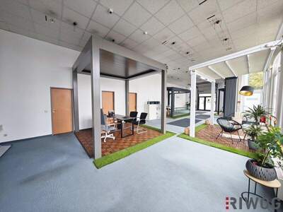 Einzelhandel mieten in 2351 Wr. Neudorf (Bild 4)