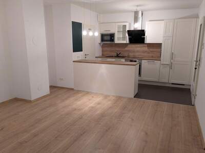 Apartment provisionsfrei mieten in 1220 Wien