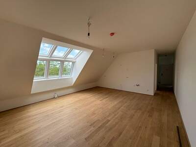 Wohnung mieten in 2380 Perchtoldsdorf (Bild 3)