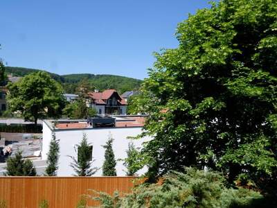 Wohnung mieten in 1130 Wien