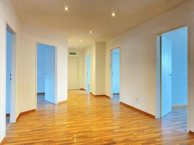 Gewerbeobjekt mieten in 4020 Linz (Bild 4)