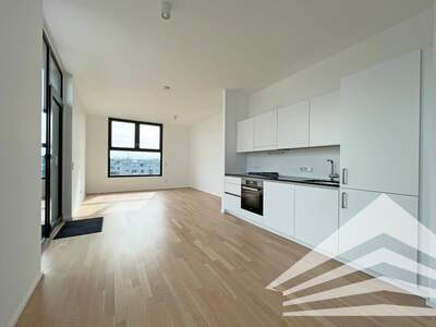 Penthouse mieten in 4020 Linz