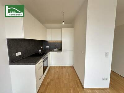 Terrassenwohnung mieten in 1210 Wien (Bild 3)