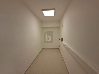 Büro / Praxis mieten in 9125 Kühnsdorf (Bild 2)