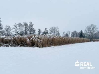 Grundstück kaufen in 5280 Braunau (Bild 3)