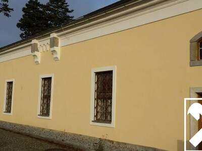 Gewerbeobjekt mieten in 4470 Enns (Bild 5)