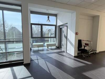 Gewerbeobjekt mieten in 8073 Feldkirchen (Bild 5)