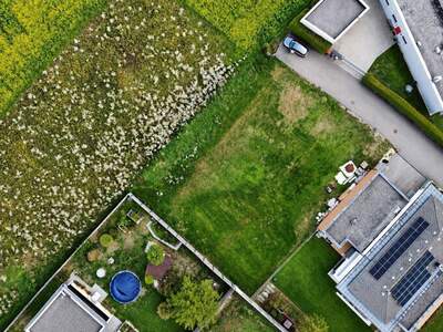 Anlageobjekt kaufen in 4614 Kappern
