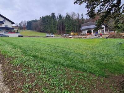 Grundstück kaufen in 4441 Behamberg (Bild 2)